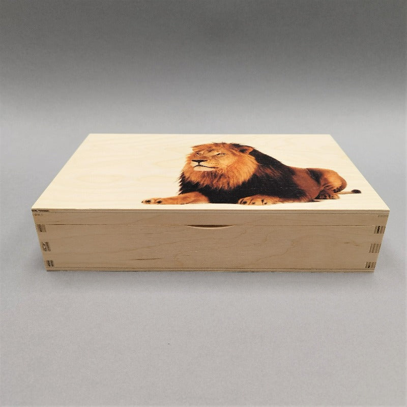 Koka kastīte ar lauvu