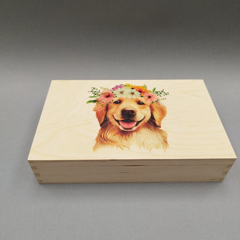 Koka kastīte ar labradoru